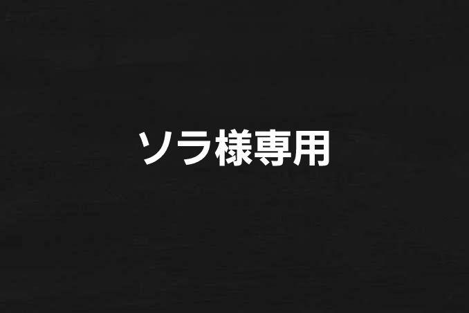 舞妓はん お公家さま ピカチュウ 京都 ぬいぐるみ