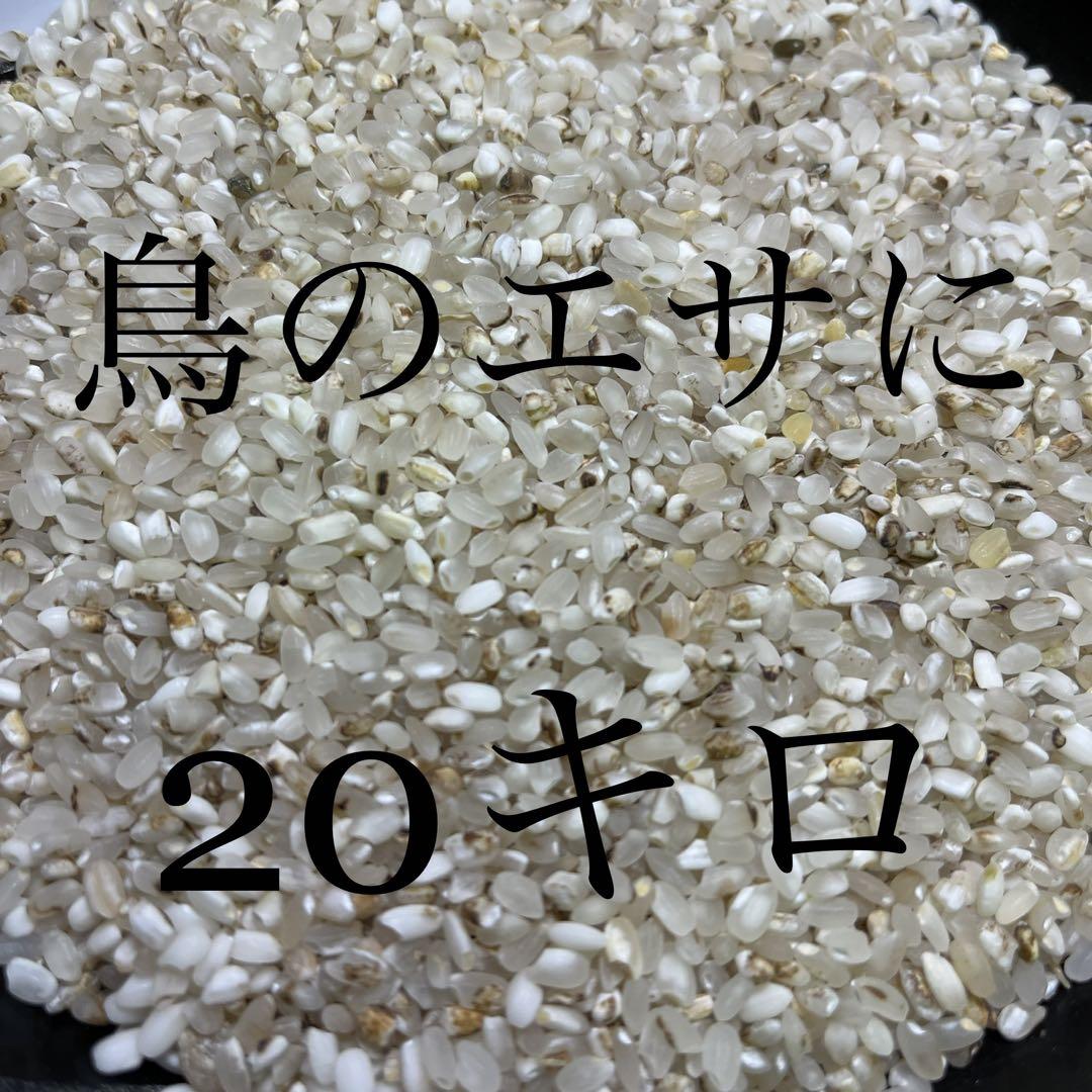 飼料用 約30kg エサ 餌 鳥 魚 小動物