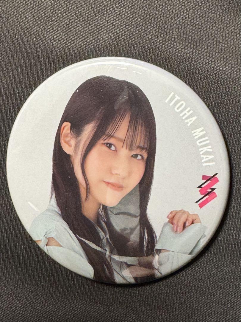 櫻坂46ピンズ・缶バッジセット 櫻坂46ピンズ・缶バッジセット