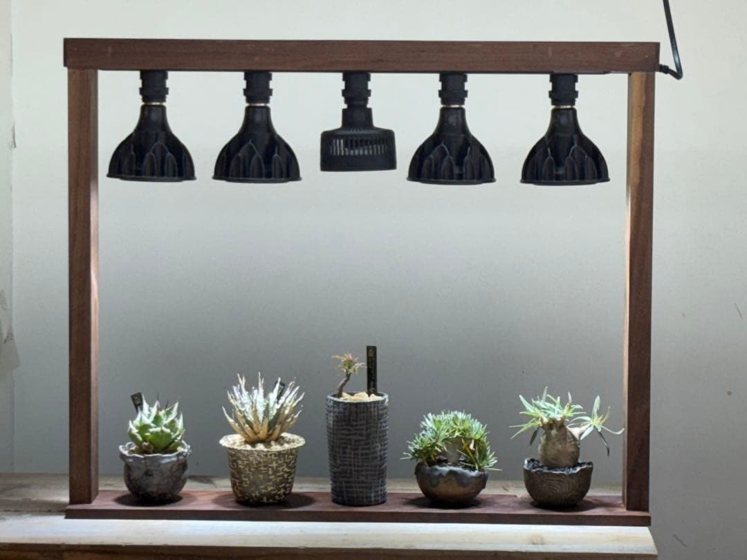 ウォルナット 植物用LEDライトスタンド目立った傷や汚れなし YUZUMIYA_COM