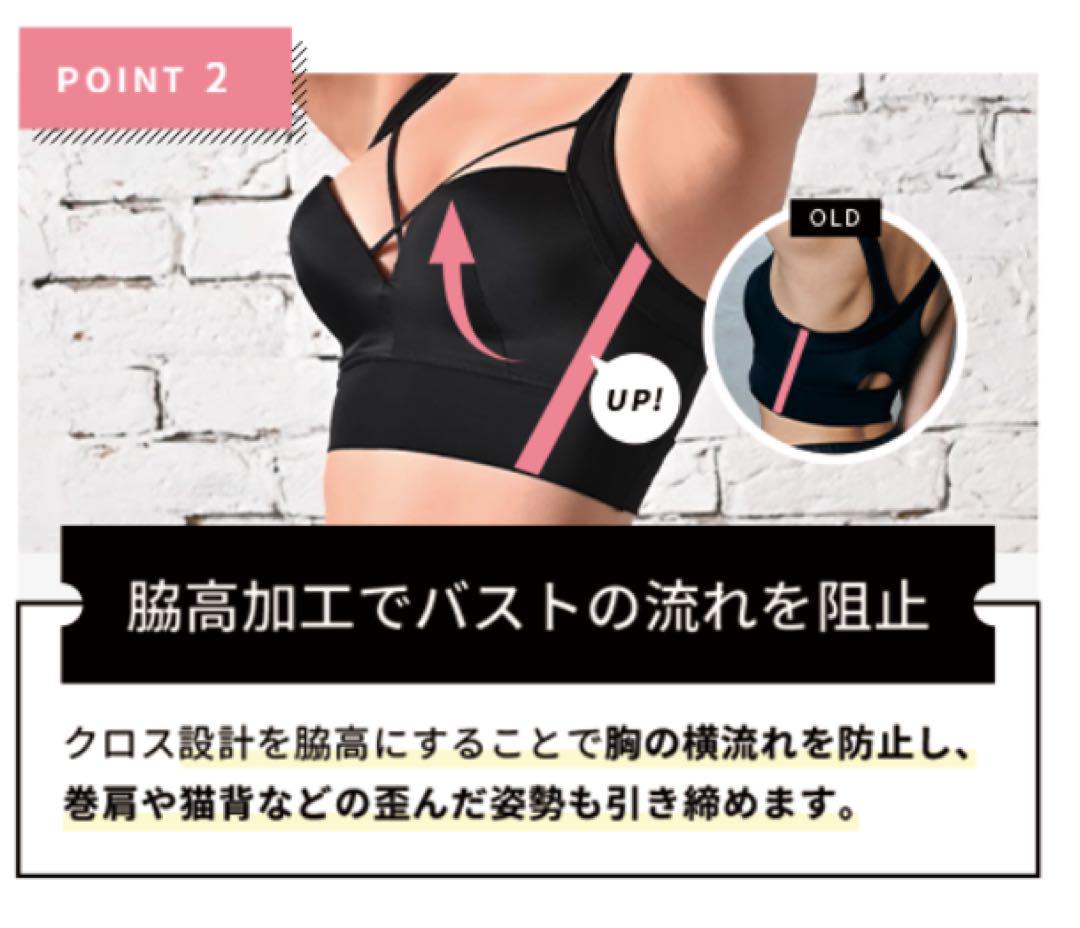2枚新品未開封AGARISM×GYDA アップミースタイリングブラ Lサイズ