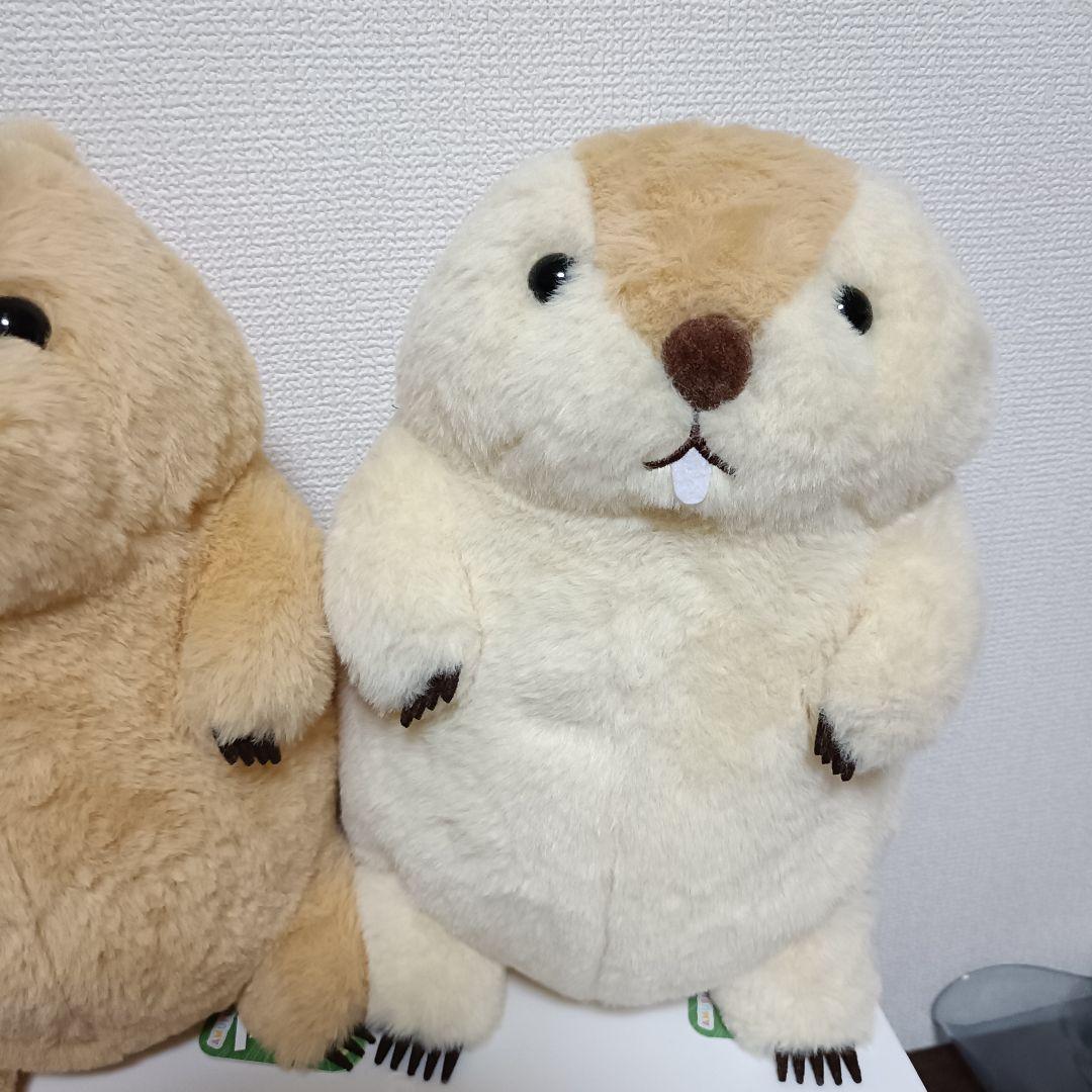 マーモットのもっとっと　 ぬいぐるみ　アー太郎　もっともっと2点セット