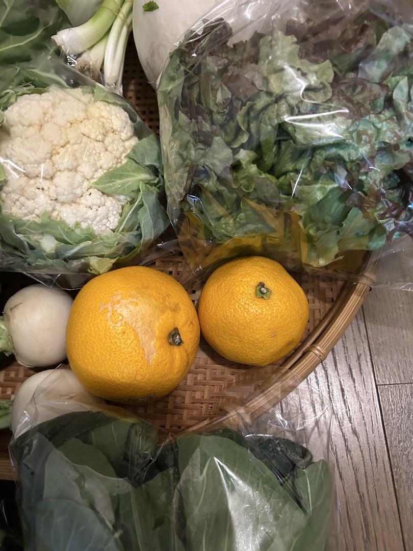お野菜の詰め合わせ120サイズ