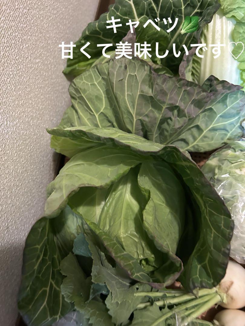 お野菜の詰め合わせ120サイズ