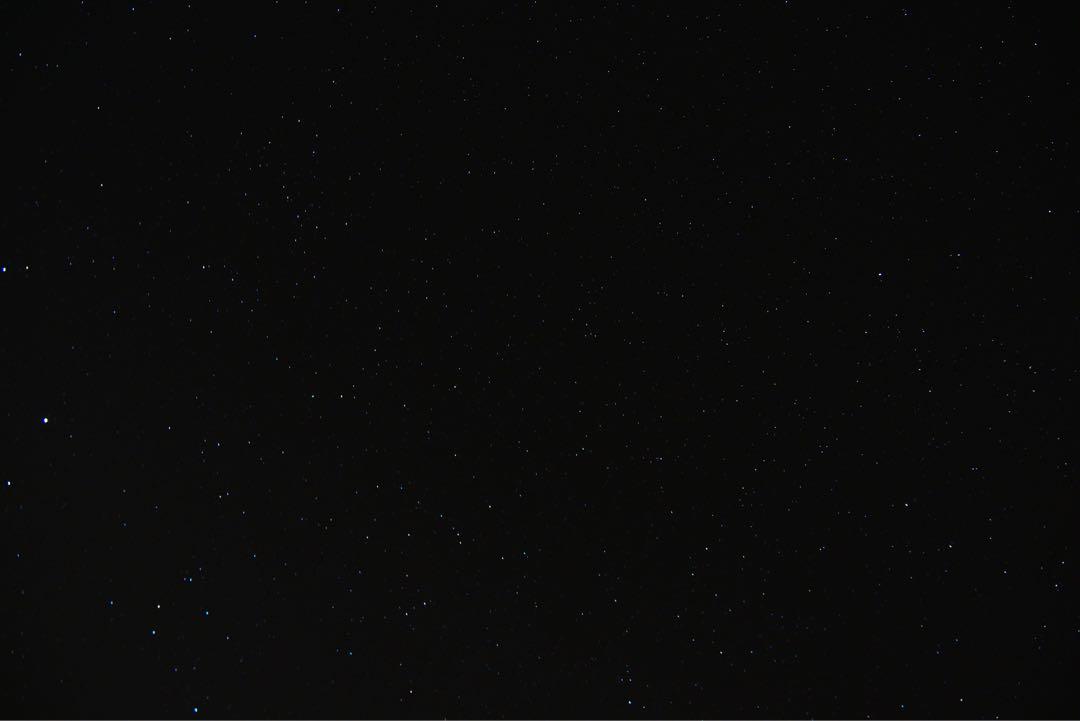 甲子園タオル