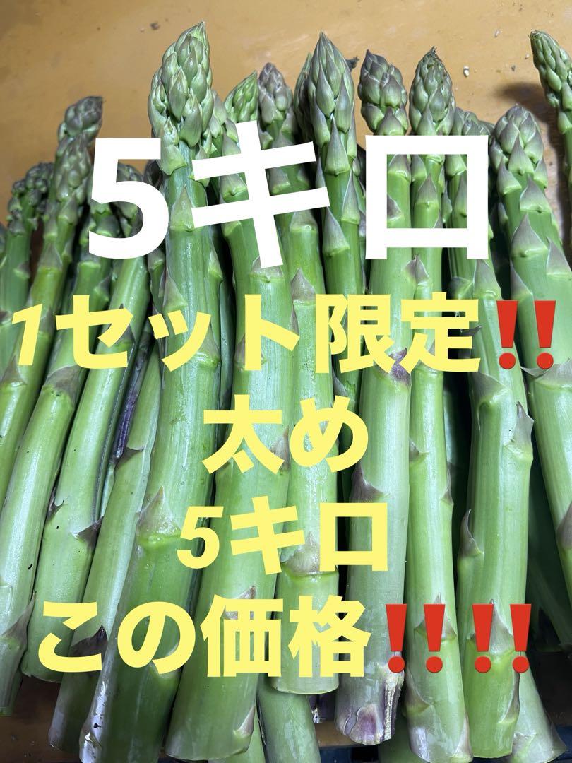 新鮮アスパラ 5キロ 太めB品 アスパラガス