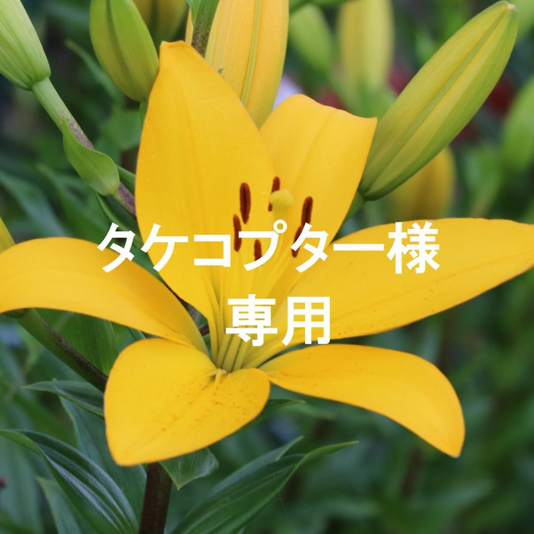 ネックレス8点とイヤリング1点