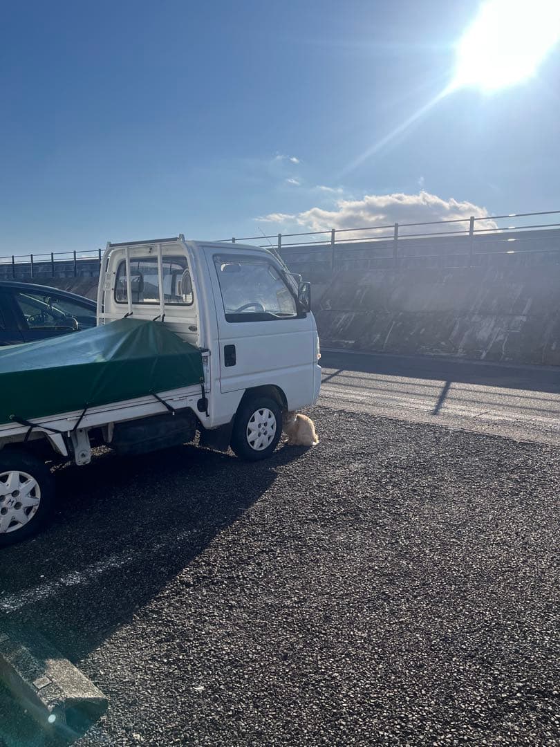 急募】アクティ　軽トラ　HA4 4wd 5MT エアコン