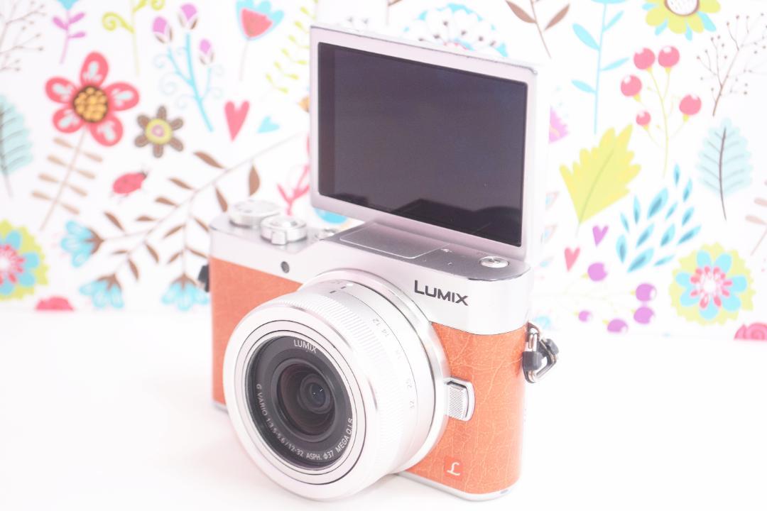 ★美品★ スマホ転送&自撮りらくらく♪ LUMIX GF9 ★