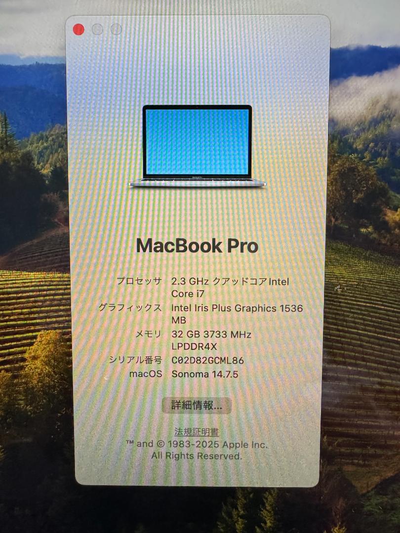 ジャンク MacBook Pro 13インチ 2TB Core i7