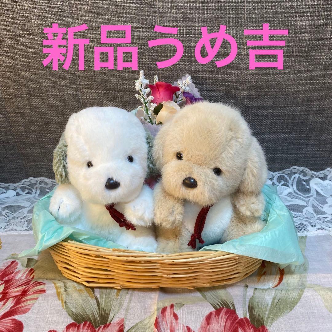 新品⭐︎うめ吉ぬいぐるみ2体　バスケット花束付　オリエンタルトーイ　タグ付　レア物