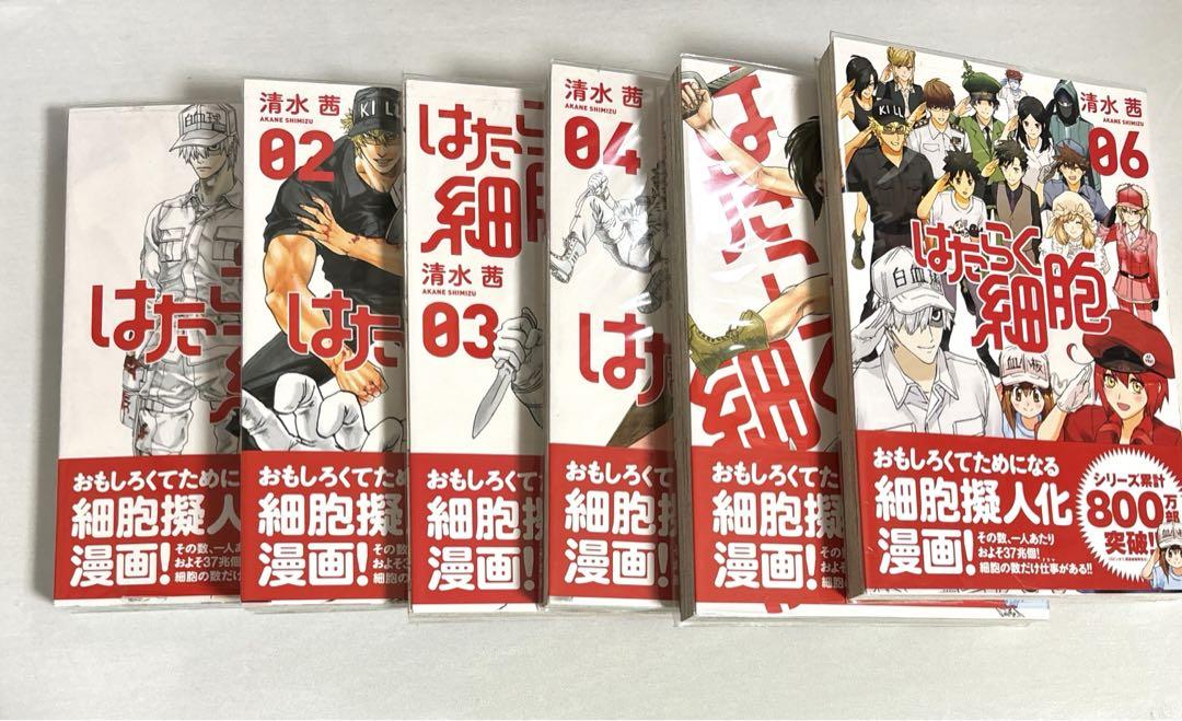 大型セールや時期 らんま1/2 全31巻セット 少年漫画