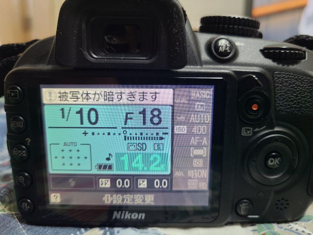 Nikon D3100