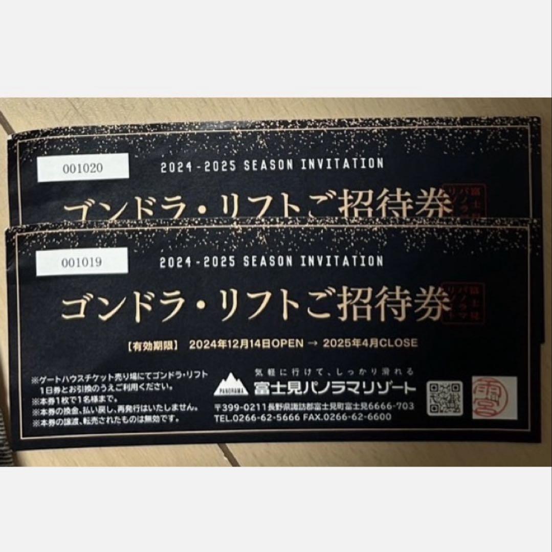 高鷲スノーパーク・ダイナランド共通リフト券 2枚セット