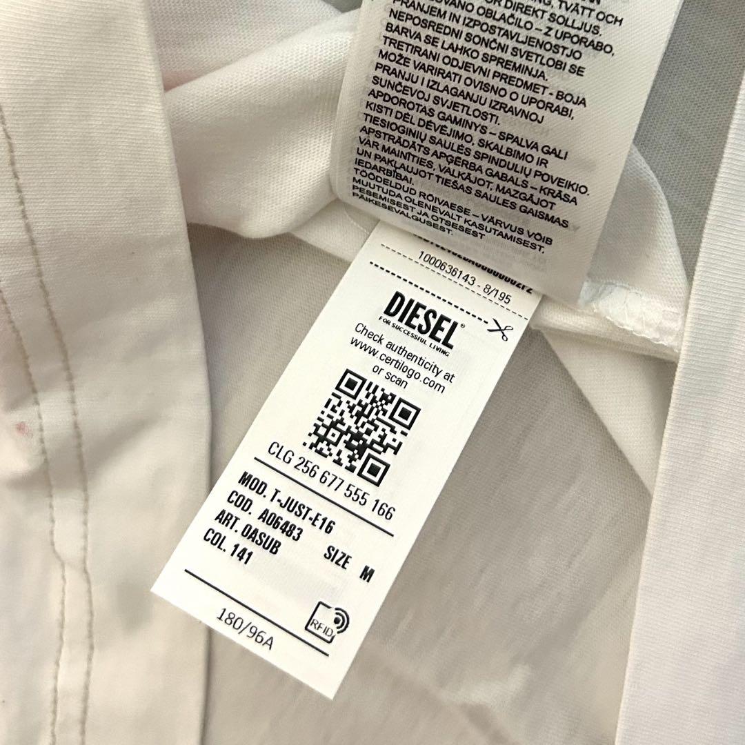 【新品】DIESEL ディーゼル／ペイントロゴTシャツ カットソー M