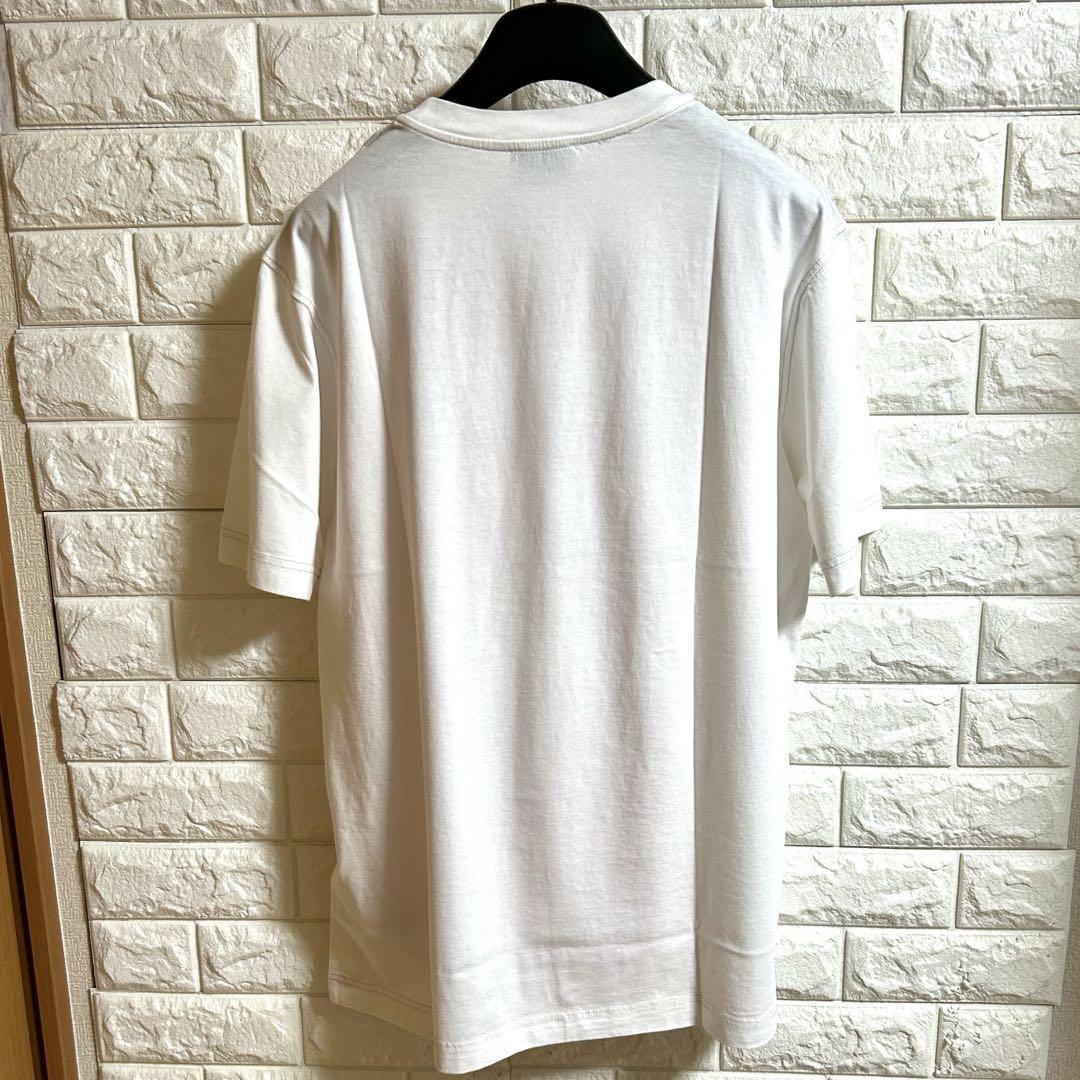 【新品】DIESEL ディーゼル／ペイントロゴTシャツ カットソー M
