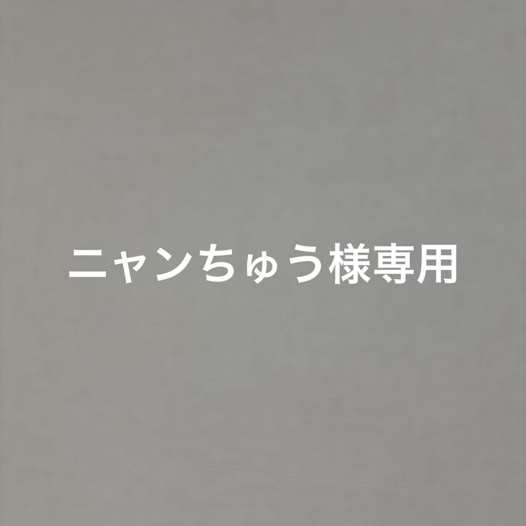 ニャンちゅう様専用