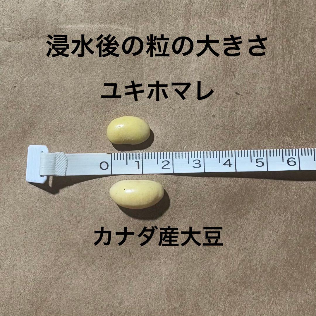 令和5年産 大豆 25kg カナダ産 色彩選別済み - メルカリ
