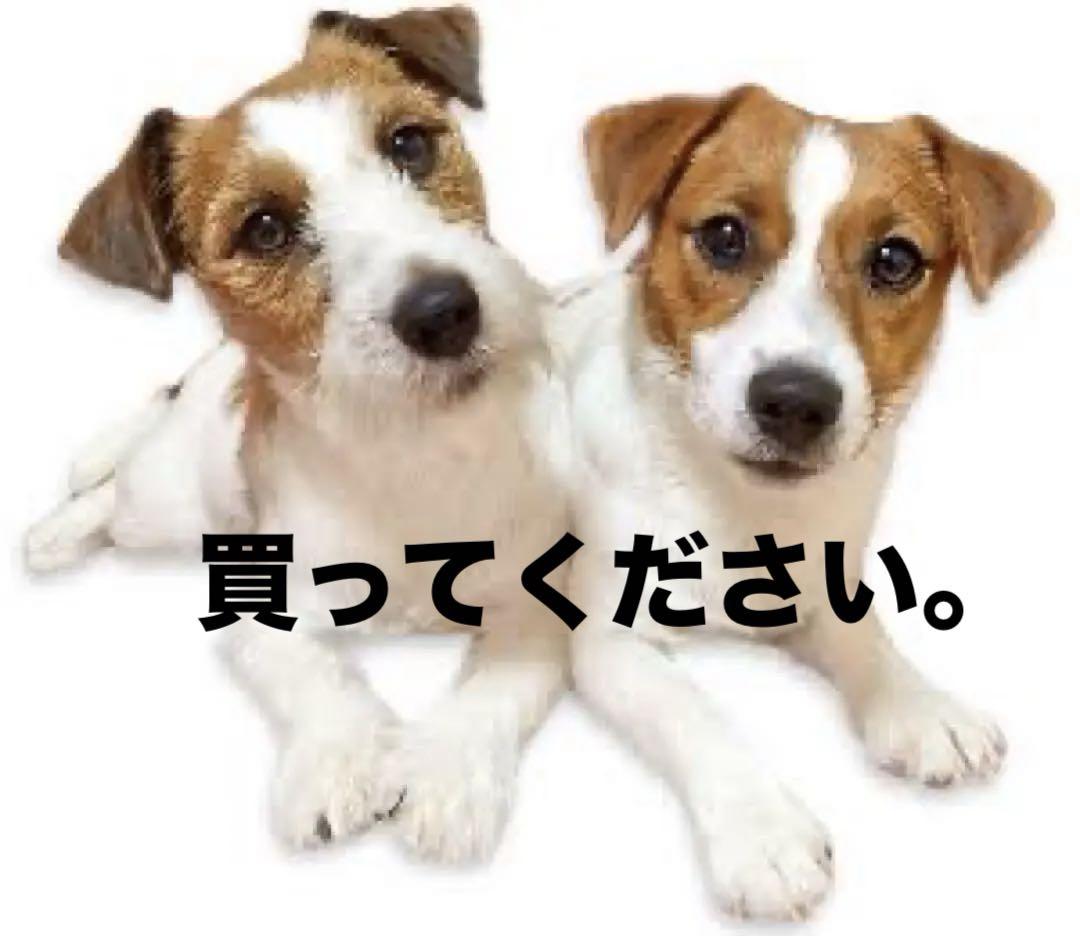 90s USA製 ジャックラッセルテリア 犬 DOG Tシャツ 在原みゆ紀