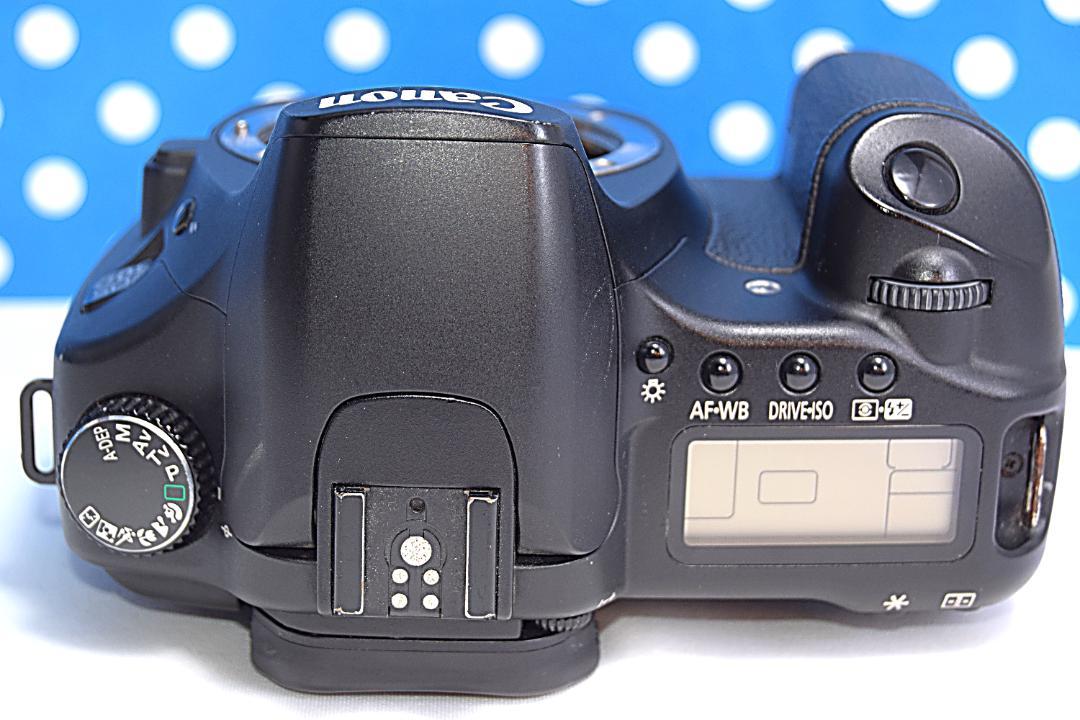 極美品❤️Canon EOS 30D❤️高画質❤️コンパクト❤️すぐ