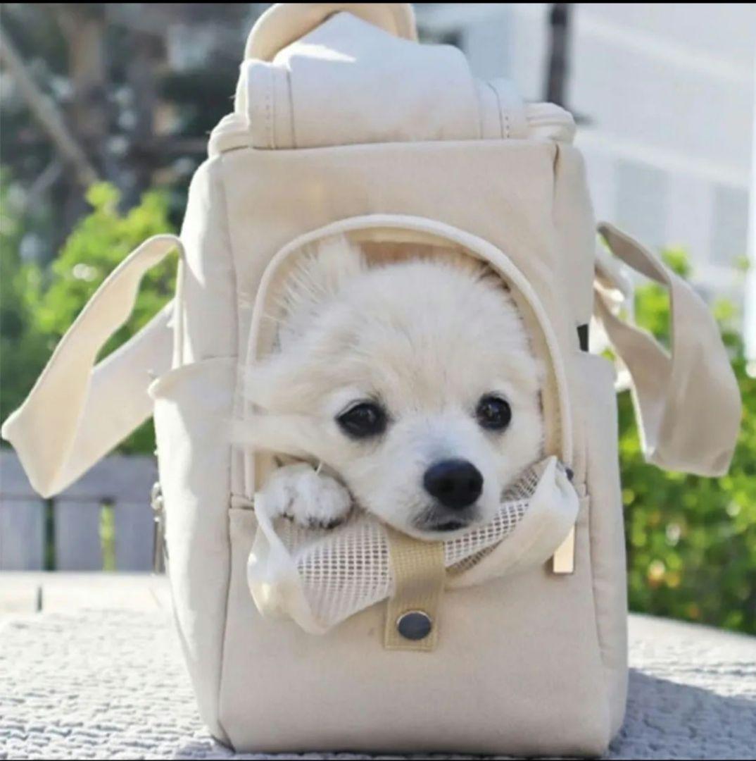 MODNEYPET(韓国) 覗き窓付きのクラウド スリングバック
