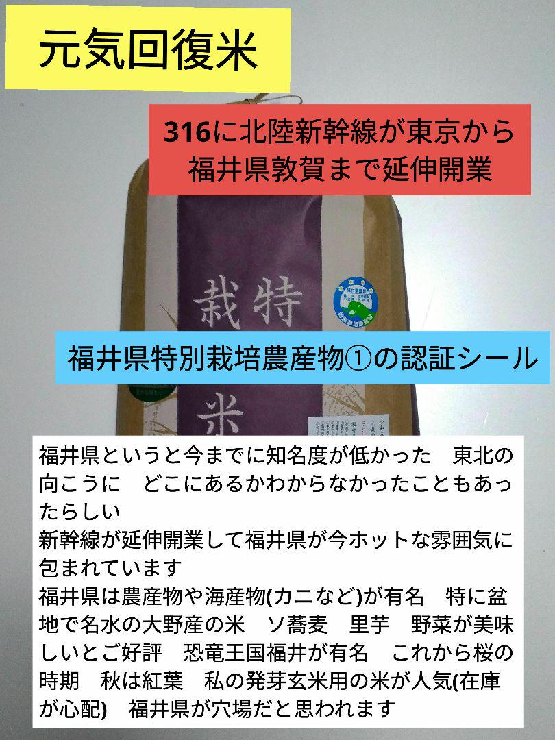 新幹線で福井が福井米があつい 玄米10kg 5年産コシヒカリ 特栽① 新幹線で福井が福井米があつい 玄米10kg 5年産コシヒカリ 特栽①