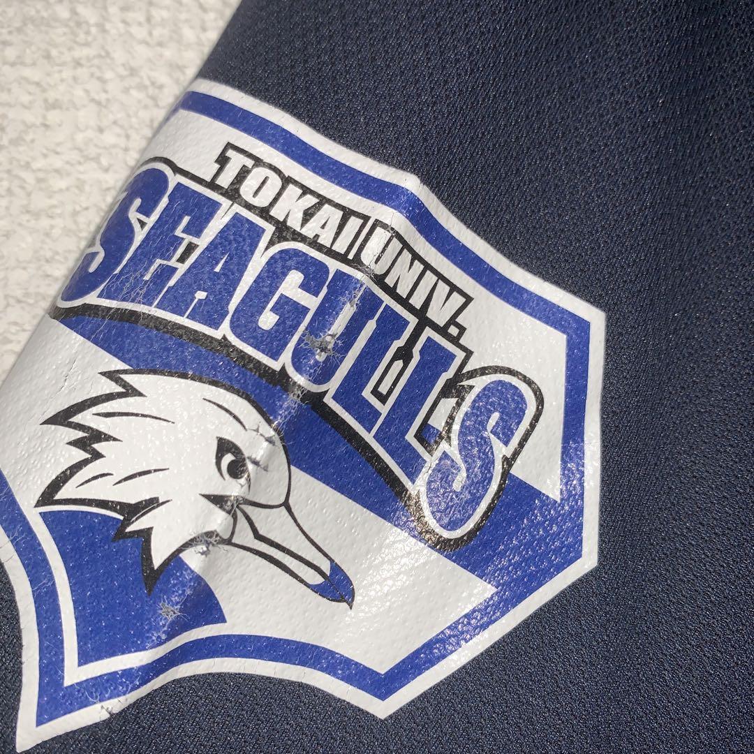 東海大学seagulls ロンT 2XL