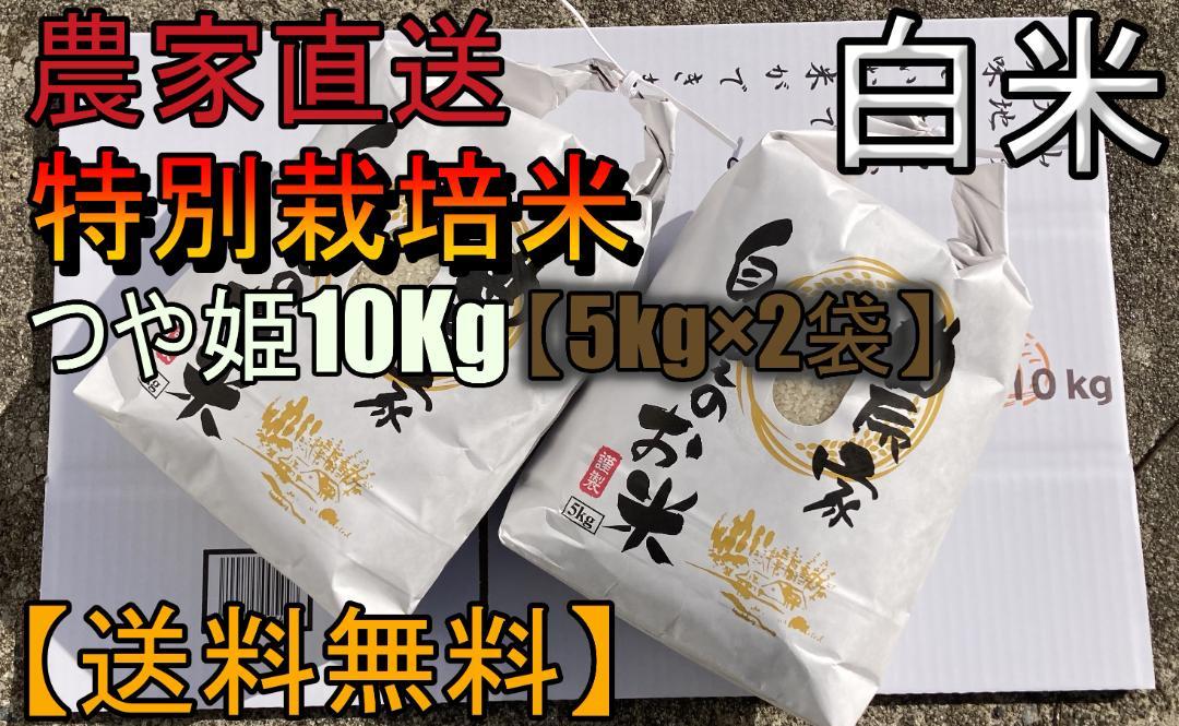 新潟 聖籠産 里芋 B品 約5㎏