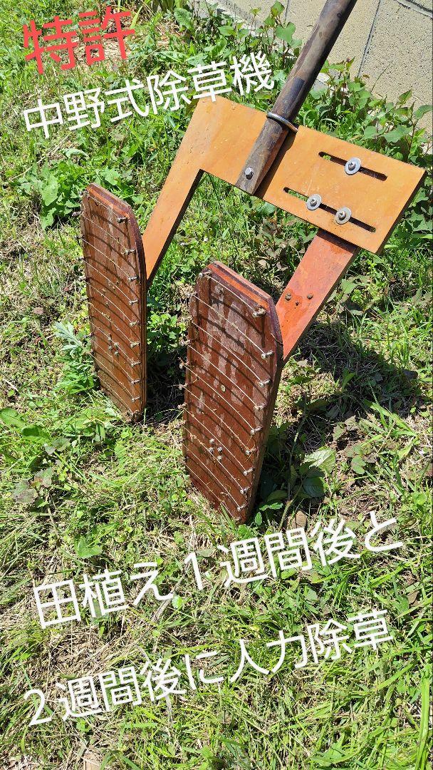 農薬・化学肥料不使用３年目　コシヒカリ玄米10kg
