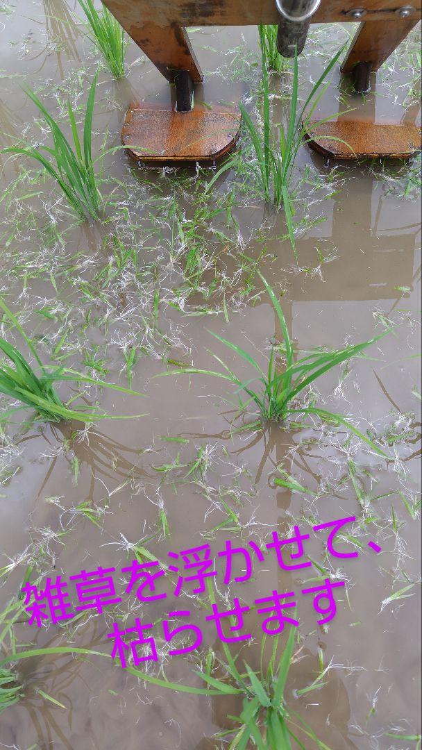 農薬・化学肥料不使用３年目　コシヒカリ玄米10kg