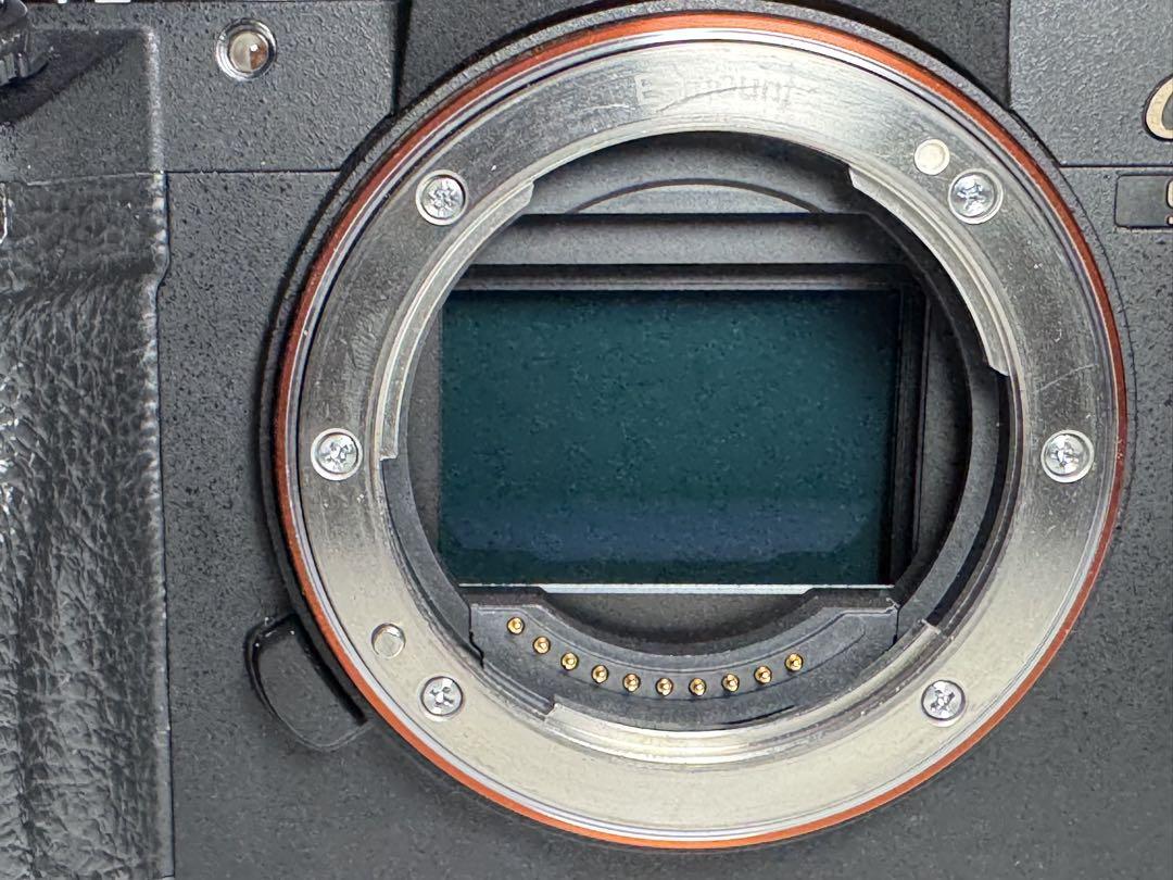 SONY α9 本体 ショット数2407