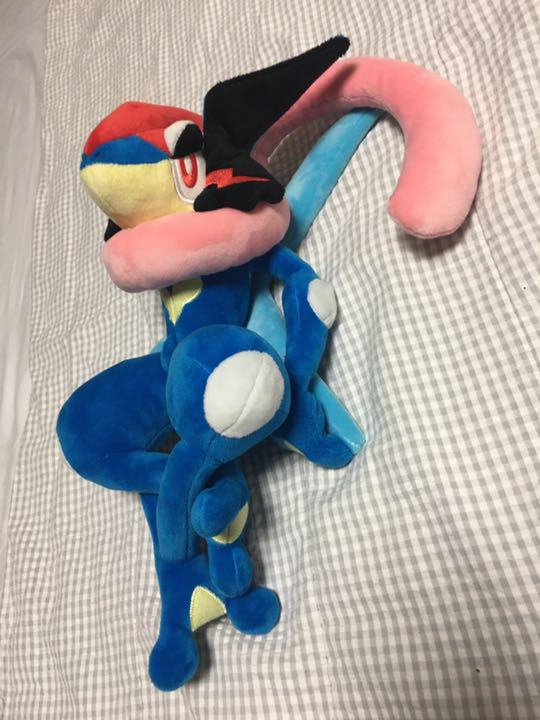 保障できる ポケモン ぬいぐるみ サトシゲッコウガ 即納特典付き Villa Saintantoine Com 保障できる ポケモン ぬいぐるみ サトシゲッコウガ 即納特典付き Villa Saintantoine Com