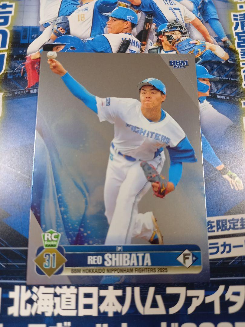 BBM 北海道日本ハムファイターズ 2025 柴田獅子 シリアルカード