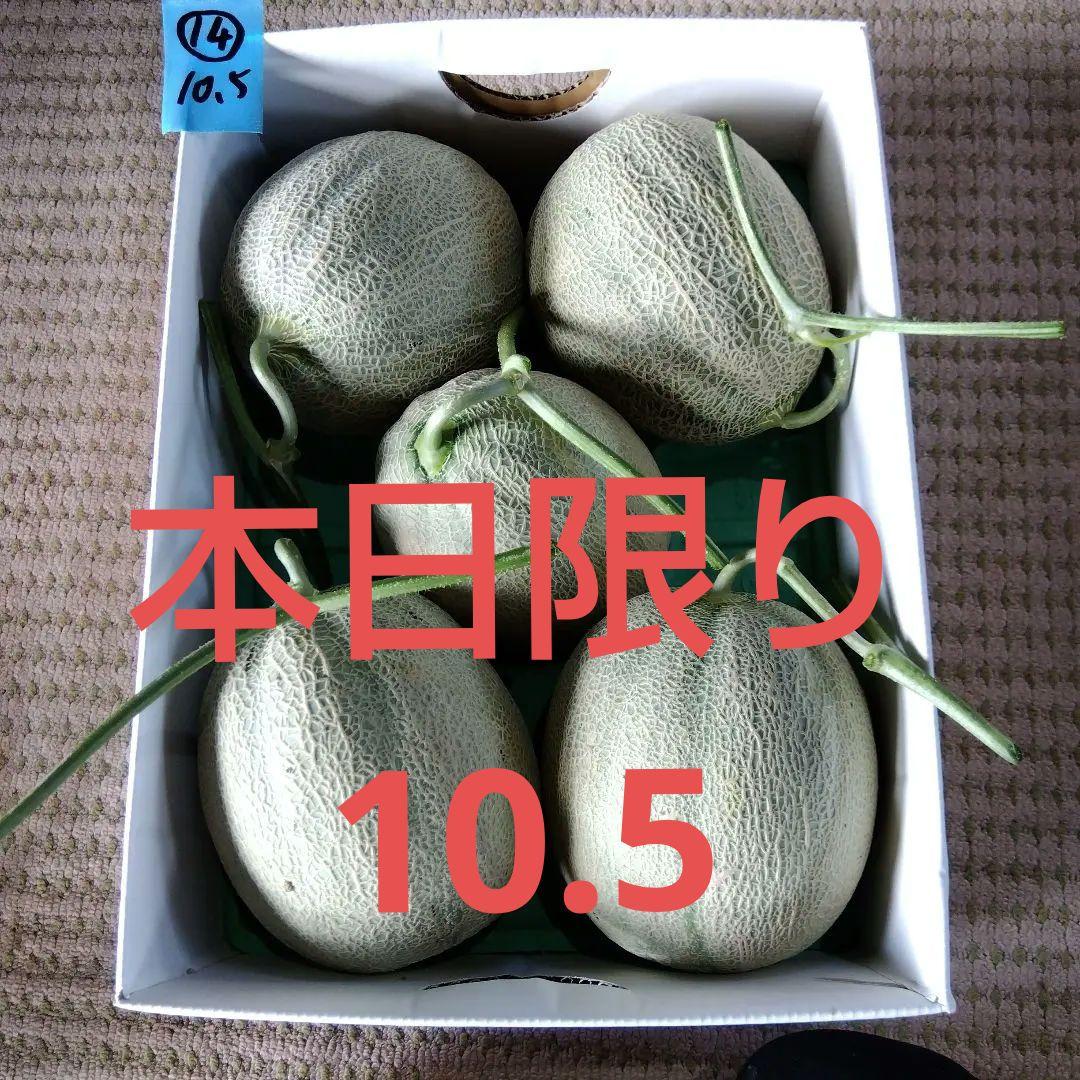 ⑭訳あり　本日午後5時まで　北海道産　赤肉メロン