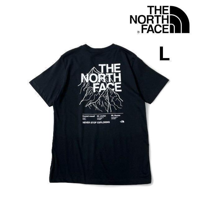 ノースフェイス 半袖 Tシャツ US ハーフドームロゴ(L)黒 180902