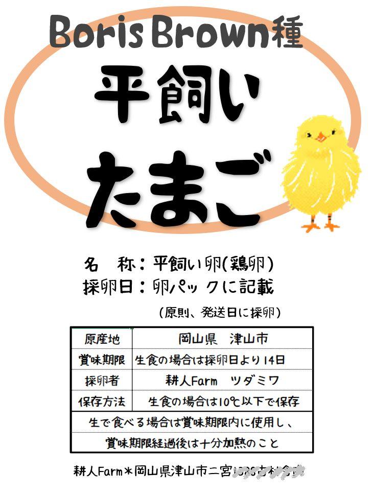 平飼い卵80個3/31常温発送あんず