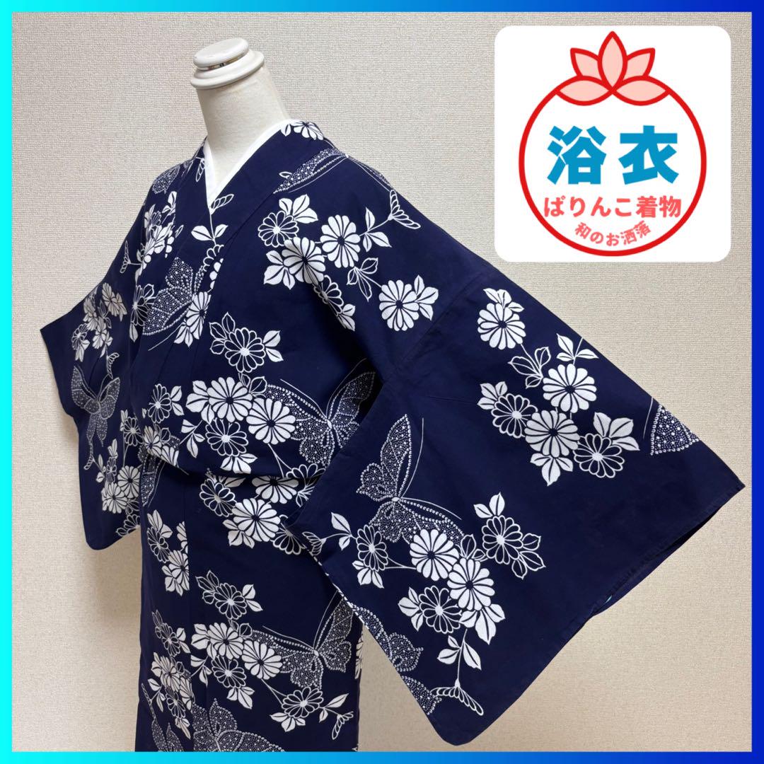 ✨ 新商品 【 浴衣 】身丈146cm 菊 蝶 古典柄 染め 綿コーマ 413