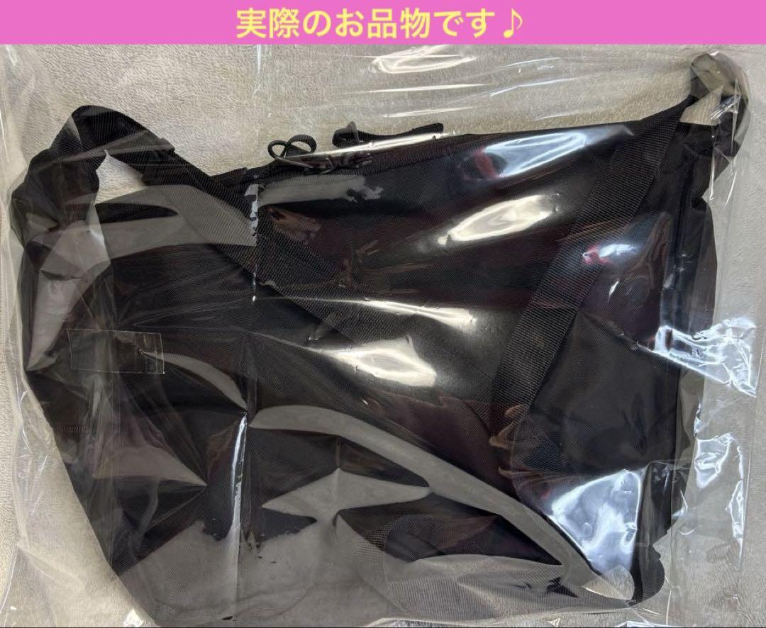 【★最終価格★紙タグ付 新品】 ノースフェイス ショルダー カペラ5〔ブラック〕