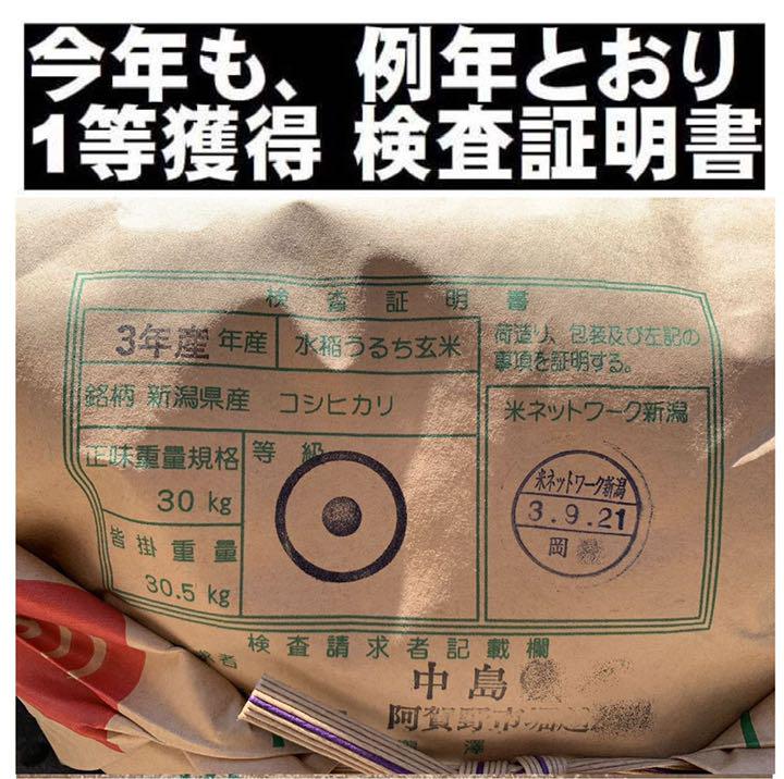 2023定番人気 新米 令和3年産玄米新潟コシヒカリ30kg 10kg×3 精米無料 農家直送30 ptvCJ-m72248561485 NEW格安