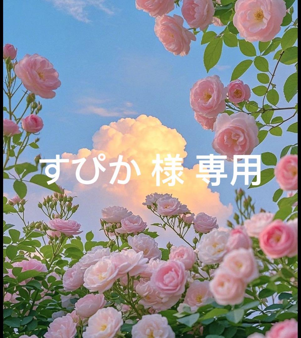 すぴか 