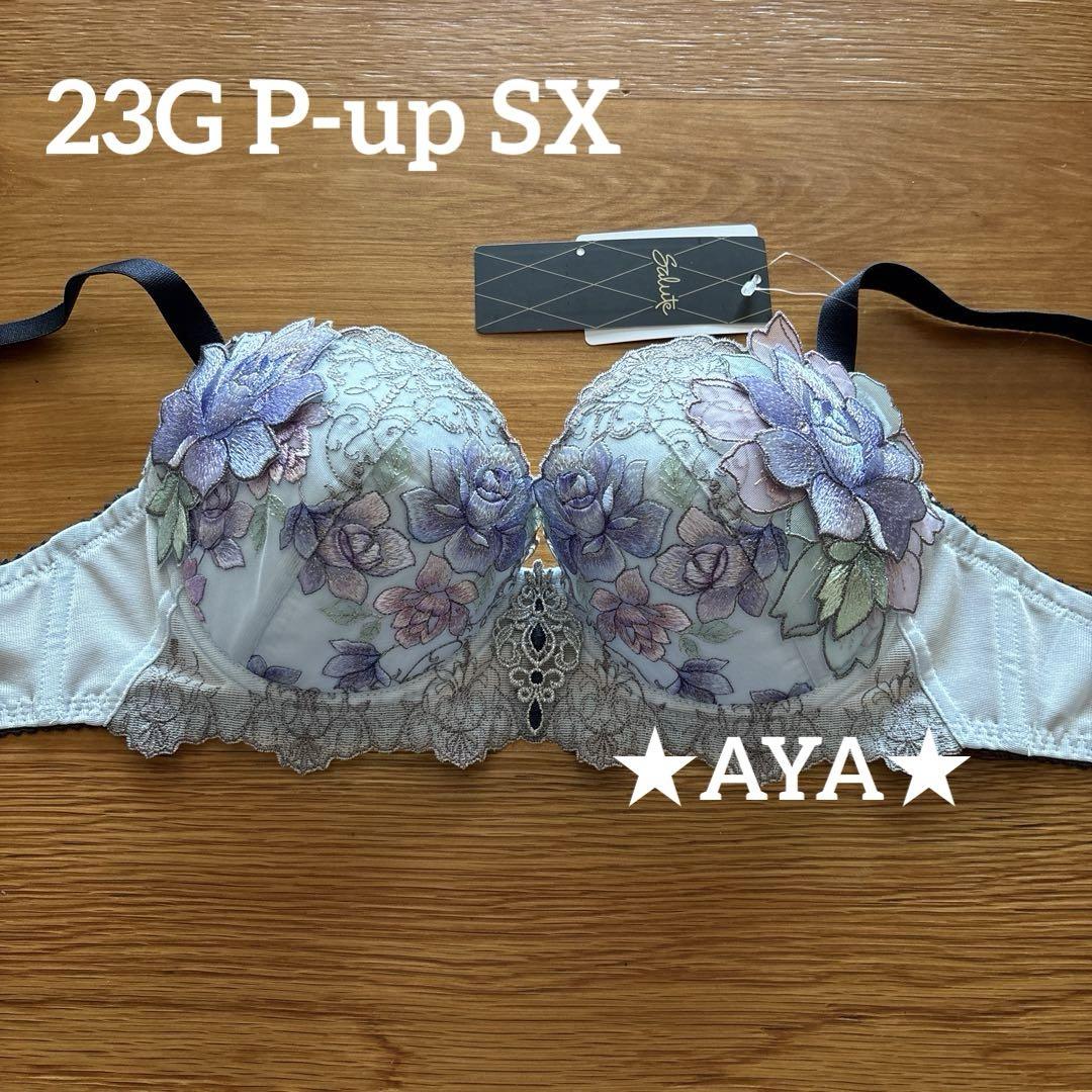 サルート プレステージ即購入◎夕陽の余韻に抱かれて　ブラ　ソングのみ　専用です 最新作 サルート 23 PI P-upブラ&ソング - メルカリ