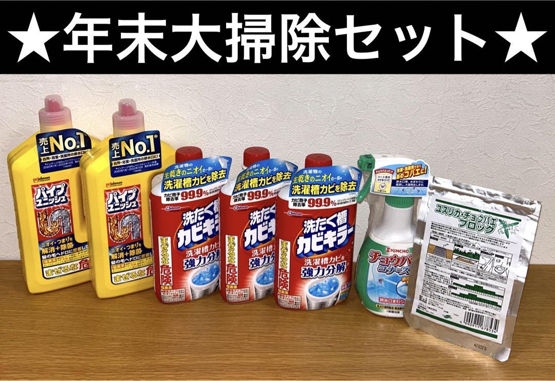 新品★パイプユニッシュ２本＆洗濯槽カビキラー３本＆チョウバエコナーズ＆ブロック