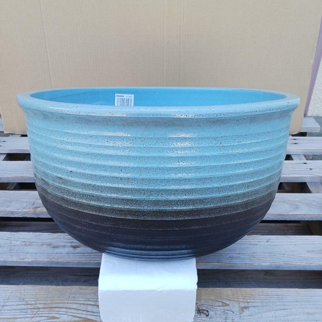 新品　∅50　陶器　睡蓮鉢　特大　難有　メダカ鉢　水色　ブルー　ルーバー　LWC