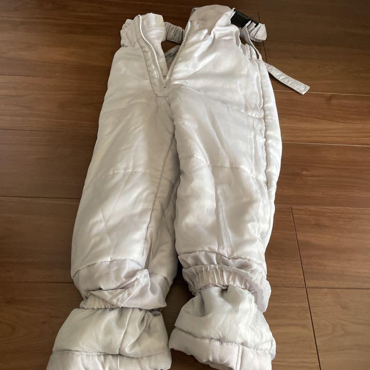 スキー ポイント2倍 Visionstreetwear 恐竜 I7wqcq4ijv Www Casg Cl