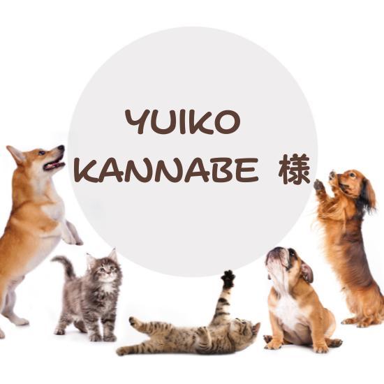 専用ページ