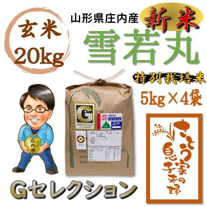 令和4年新米　山形県庄内産　はえぬき　白米20kg　Ｇセレクション 新米 山形県庄内産 はえぬき 白米20kg Gセレクション