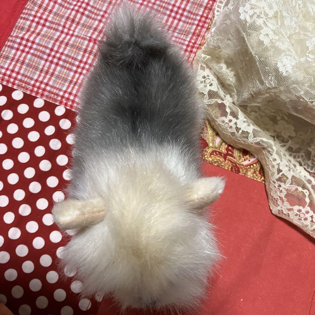 ぬいぐるみ犬　子犬　わんちゃん　リアル　テリア　ヨーキー　ヨークシャテリア