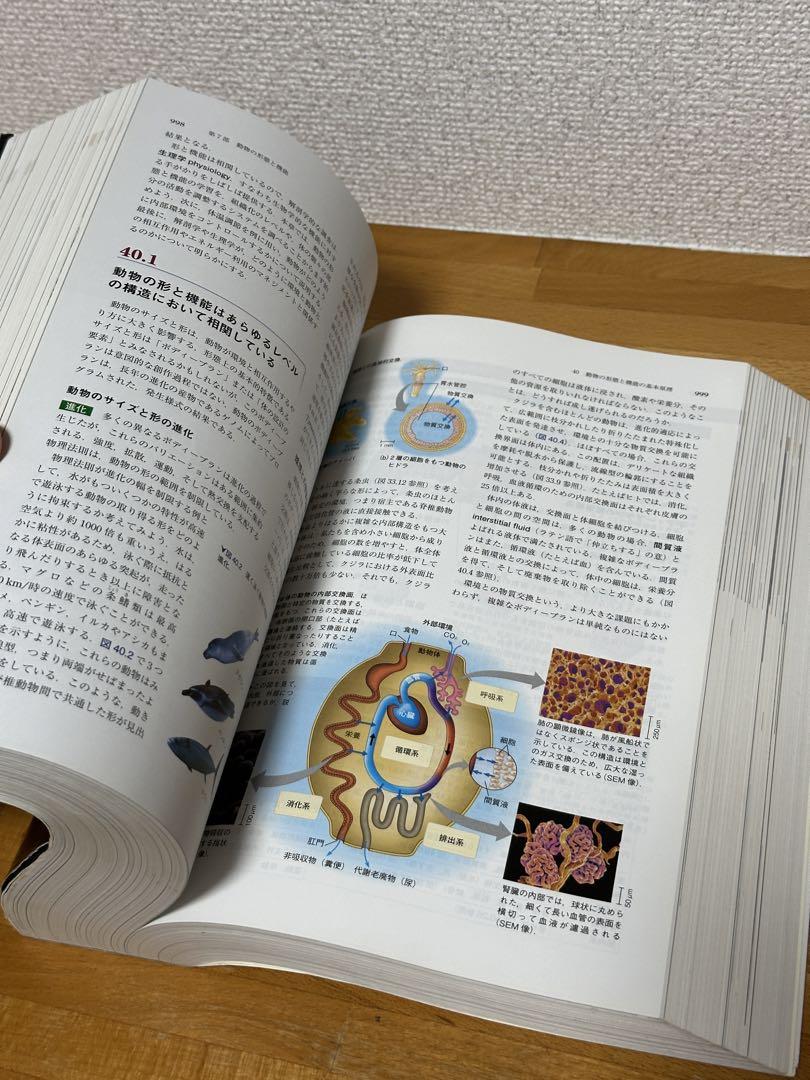 キャンベル生物学 原書11版 (2018年)