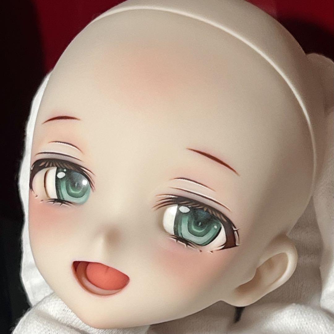 DDH-10 カスタムヘッド セミホワイト MDDなどに ドルフィードリーム