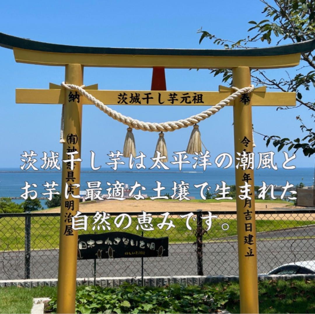 S3K 黄金干し芋 訳あり 紅はるか 切り落とし3キロ